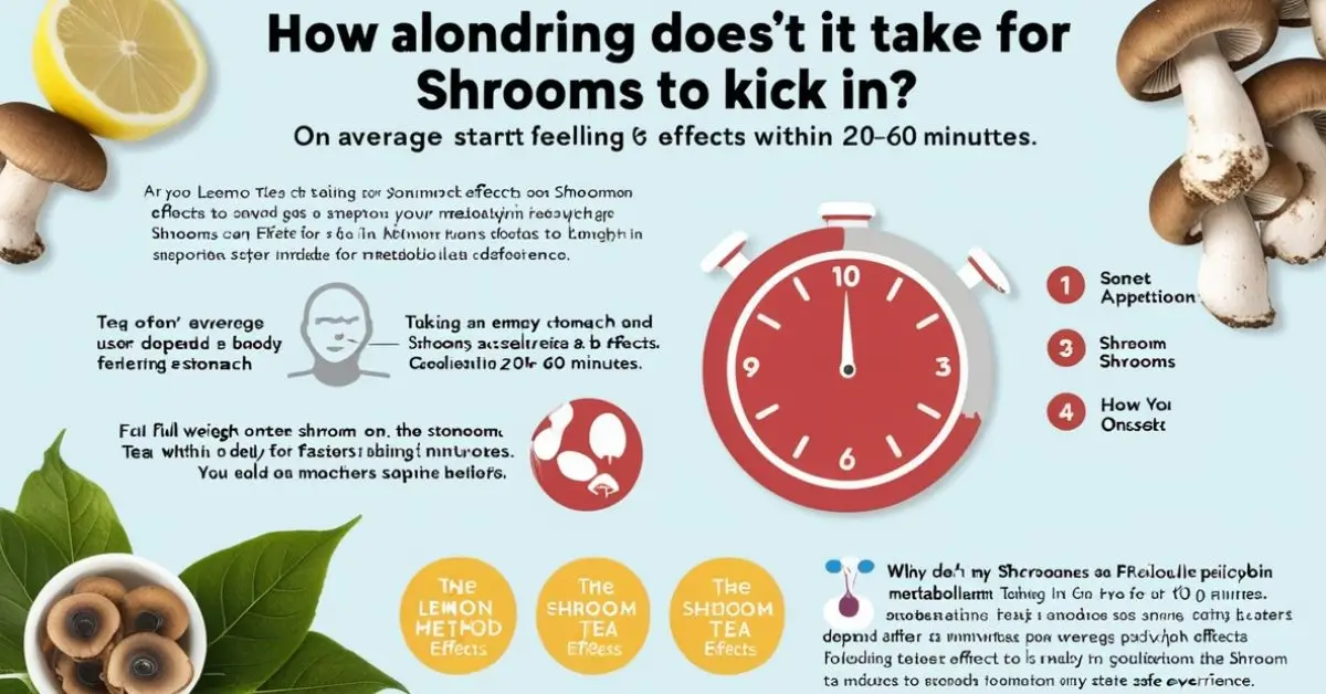 How Long Does It Take for Shrooms to Kick In