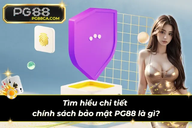 Tổng quan về chính sách về bảo mật